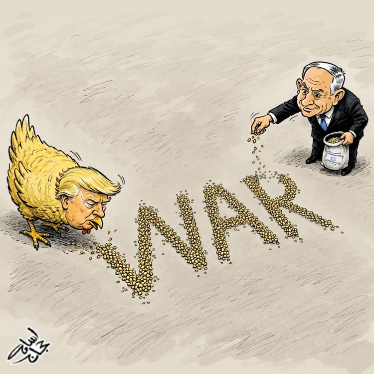 Granos de guerra