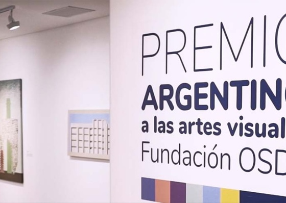 Gilda Picabea es la ganadora del premio argentino a las artes visuales 2023