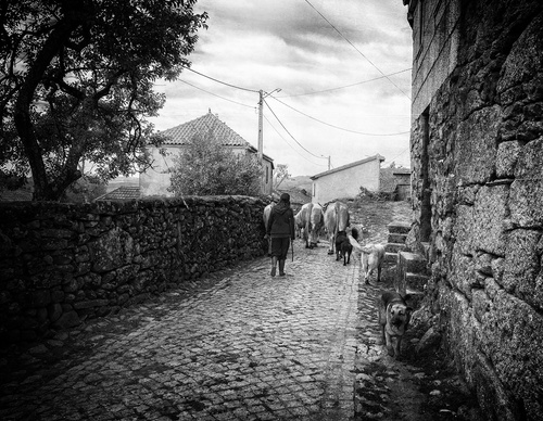 Gallery Of Photography By João Madureira - Portugal