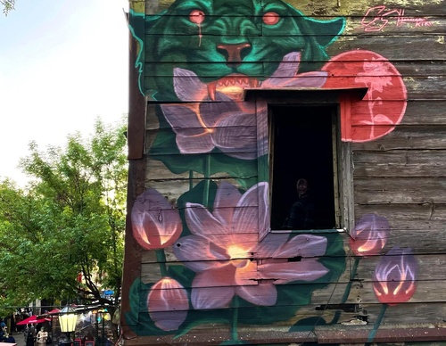 Gallery Of Street Art By Kiki - Brazil