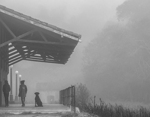 Gallery of photography by Gustavo Bettini-Brazil