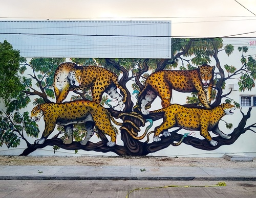 Gallery Of Street Art By Bailon - Brazil