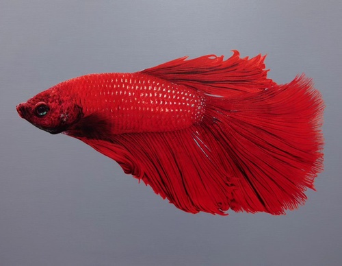 Gallery Of Realistic Painting By Young-sung Kim - South Korea