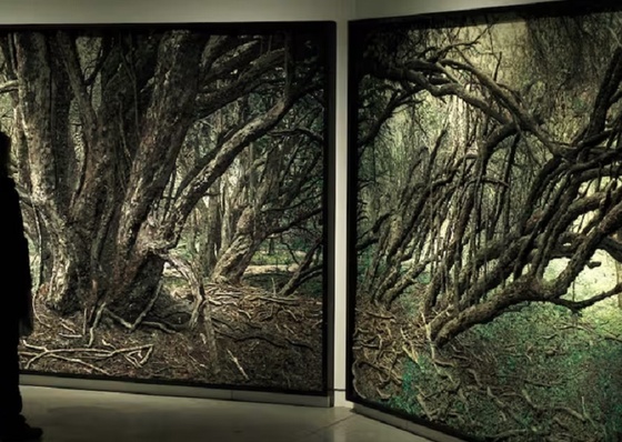 Paisagens, passeios e filmes