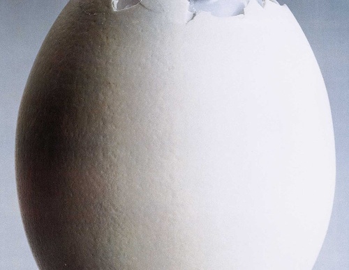 frieder grindler