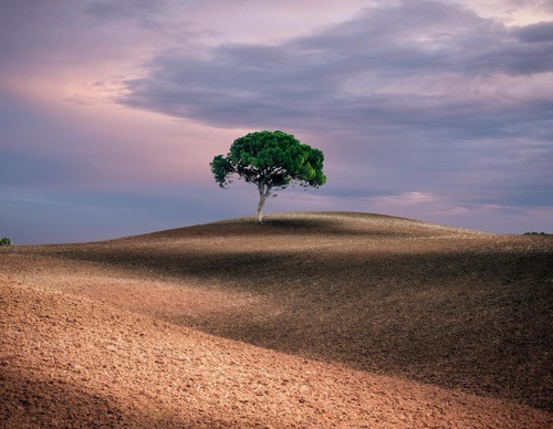 Galería de fotografía de Jorge Reinaldo - Portugal