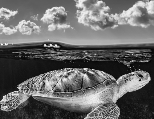 Galeria de Fotografia de Cristina Goettsch Mittermeier - México