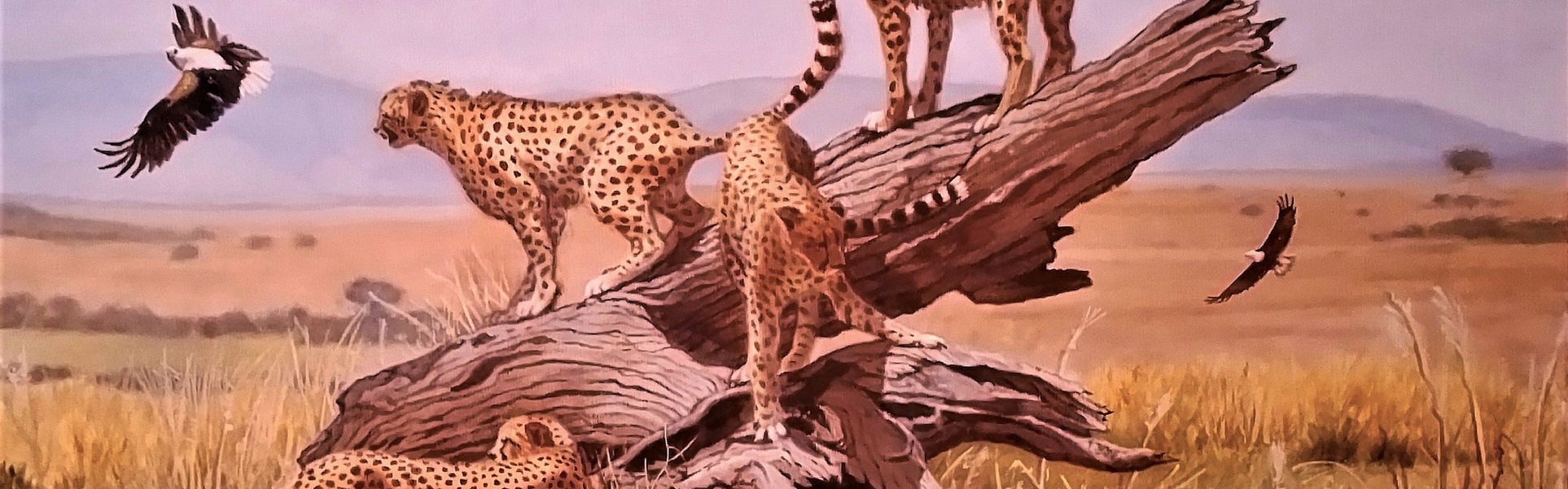 Galería de Pintura de Jorge Castrillón - Argentina