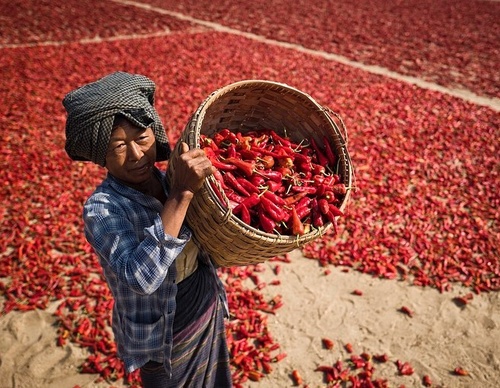 Galería de fotografías de Joshua Alpha Buana - Indonesia