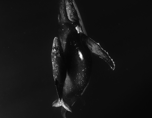 Gallery Of Photography By Alex Kydd - Australia