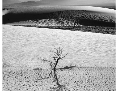 Gallery Of Photography By Diego Ortiz Mugica - Argentina