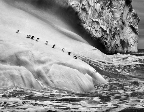 Galeria de Fotografia de Sebastião Salgado-Brasil