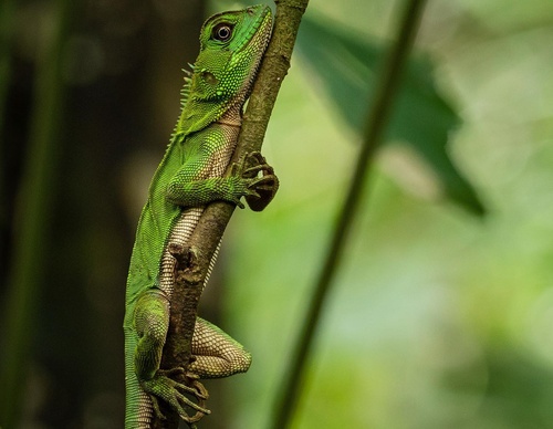 Gallery Of Photography By Fernando Faciole - Brazil
