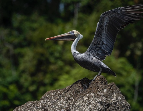 Gallery Of Photography By Fernando Faciole - Brazil