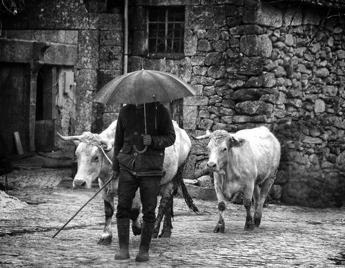 Gallery Of Photography By João Madureira - Portugal