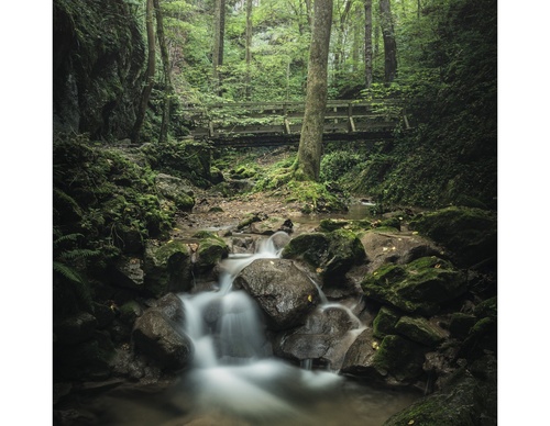 Galería de fotografías de Pujan Shadlau - Austria