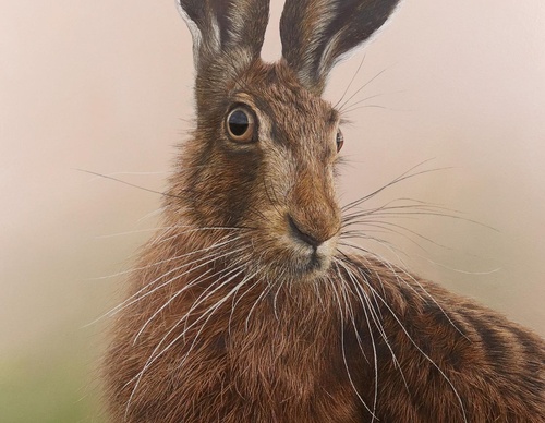 Galería de pintura realista de Annie Drew - Reino Unido