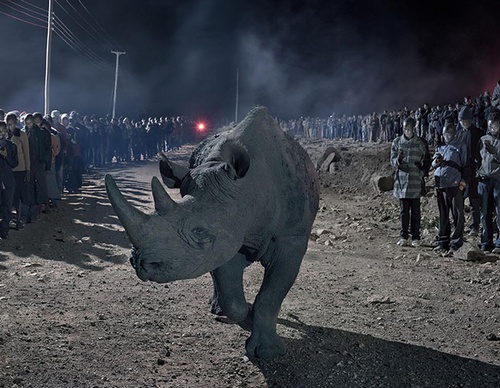 nick brandt