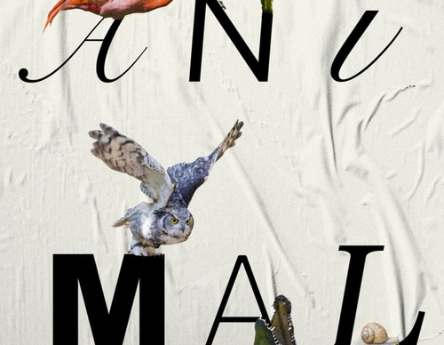blank poster animal