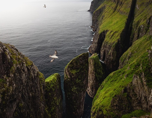 Galería de Fotografía de Daryl Scott Walker - Inglaterra