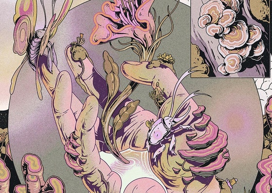 Galeria de Ilustrações de Micha Huigen dos Países Baixos