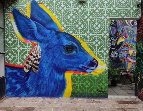 Galería de arte callejero de Nashi Bime - México