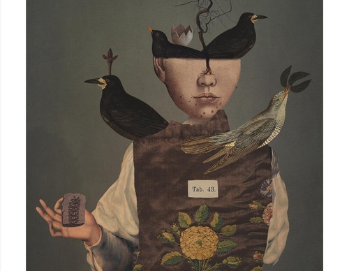 Galeria de ilustrações de Sarah Jarrett - Jamaica