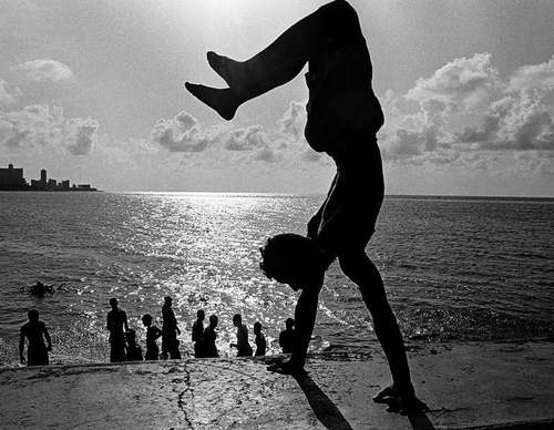 raul canibano