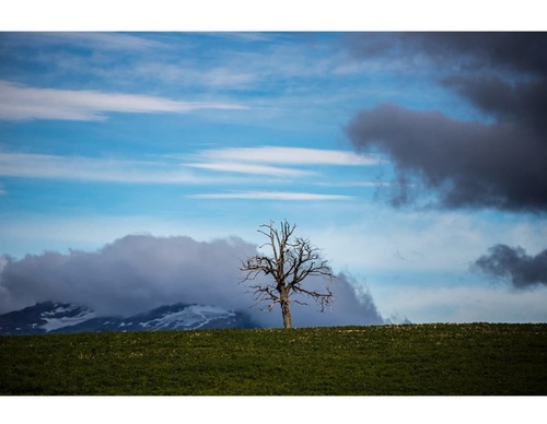 Gallery of Photography by Héctor Millar-Chile