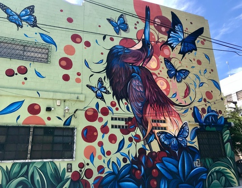 Gallery Of Street Art By Fio Silva - Argentina