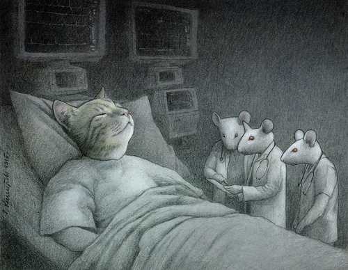 pawel kuczynski