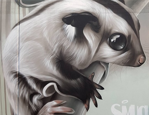 Gallery Of Street Art By Smug - Australia