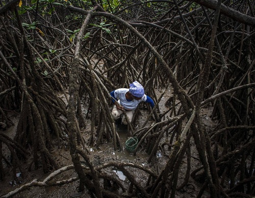 Gallery Of Photography By Fernando Faciole - Brazil