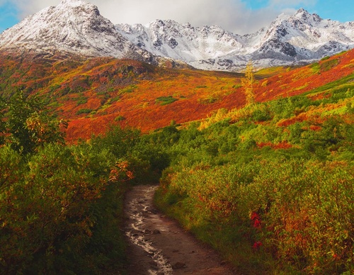 Gallery Of Photography By Patrick Thun - Alaska