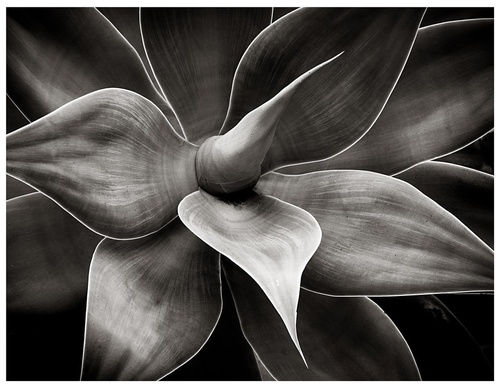Gallery Of Photography By Diego Ortiz Mugica - Argentina