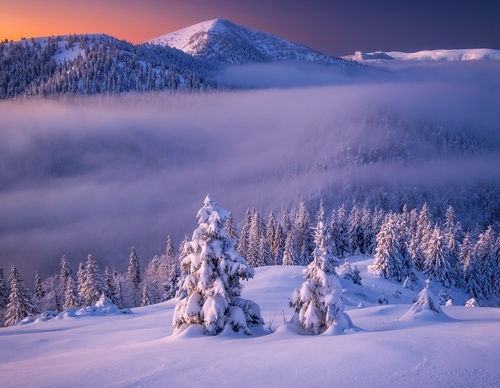 Gallery Of Photography By Samuel Lesko - Slovakia