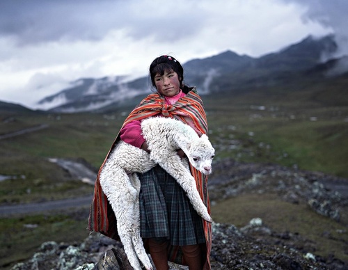 Galería de fotografía de Alessandro Bergamini - Italia