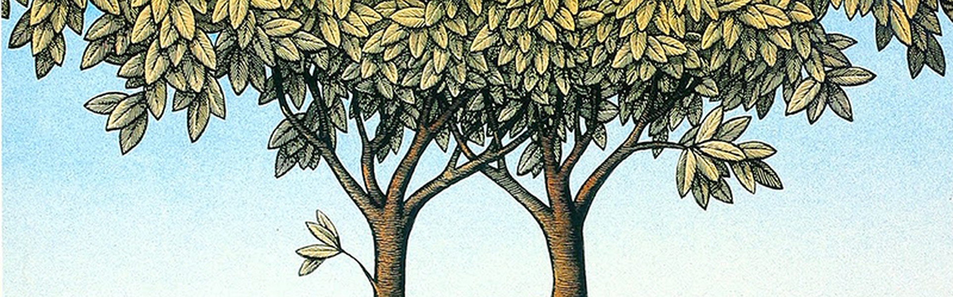Galería de ilustraciones de Mirko Llic-Bosnia y Herzegovina