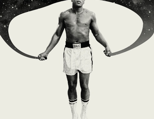 max rompo