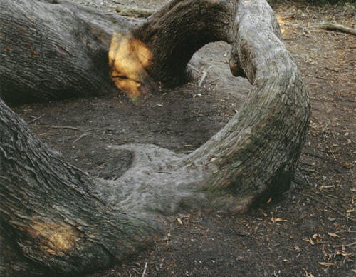 gregory halpern