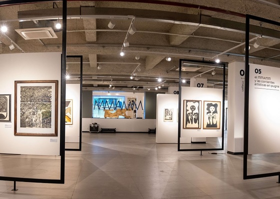 O MMAMM convida para apresentação do livro “Julio Le Parc