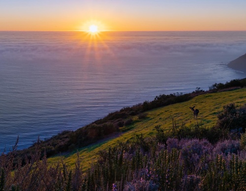 Gallery Of Photography By Keith Ladzinski - Brazil