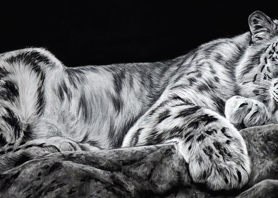 Gallery Of Realistic Painting By Daniel Wilson - United Kingdom