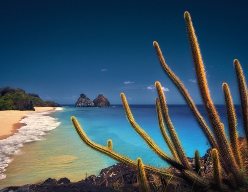 Galería de fotografía de Marcio Cabral - Brasil