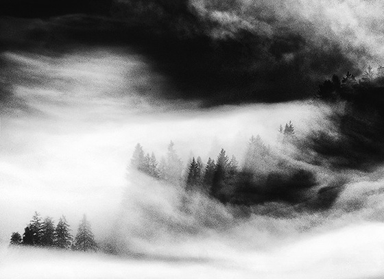 ando fuchs