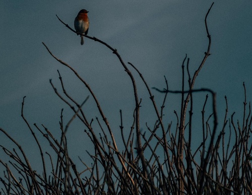 Galería de fotografías de Hannes Becker - Alemania