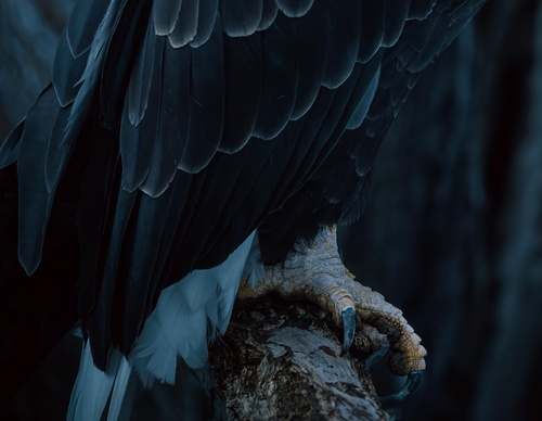 Gallery Of Photography By Chris Henry - USA