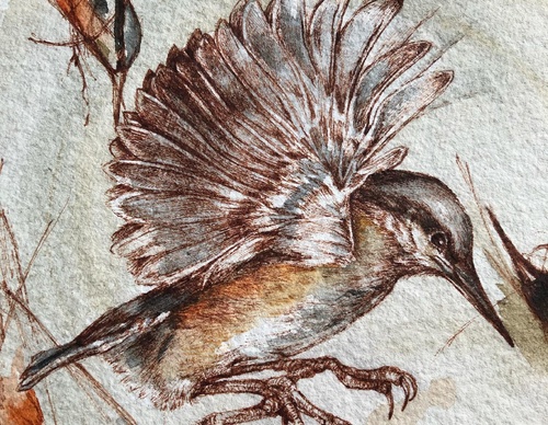 Gallery of Drawing by GiacoMina Ferrillo-Italy