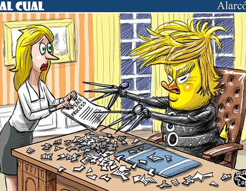 cartoon section