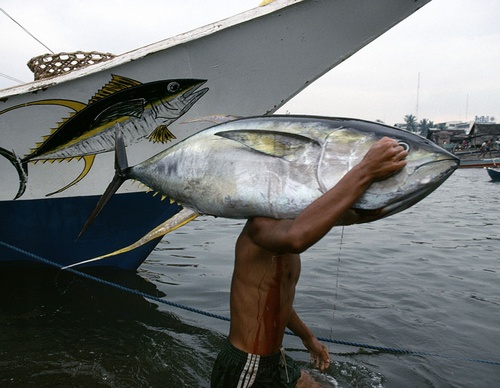 bruno barbey